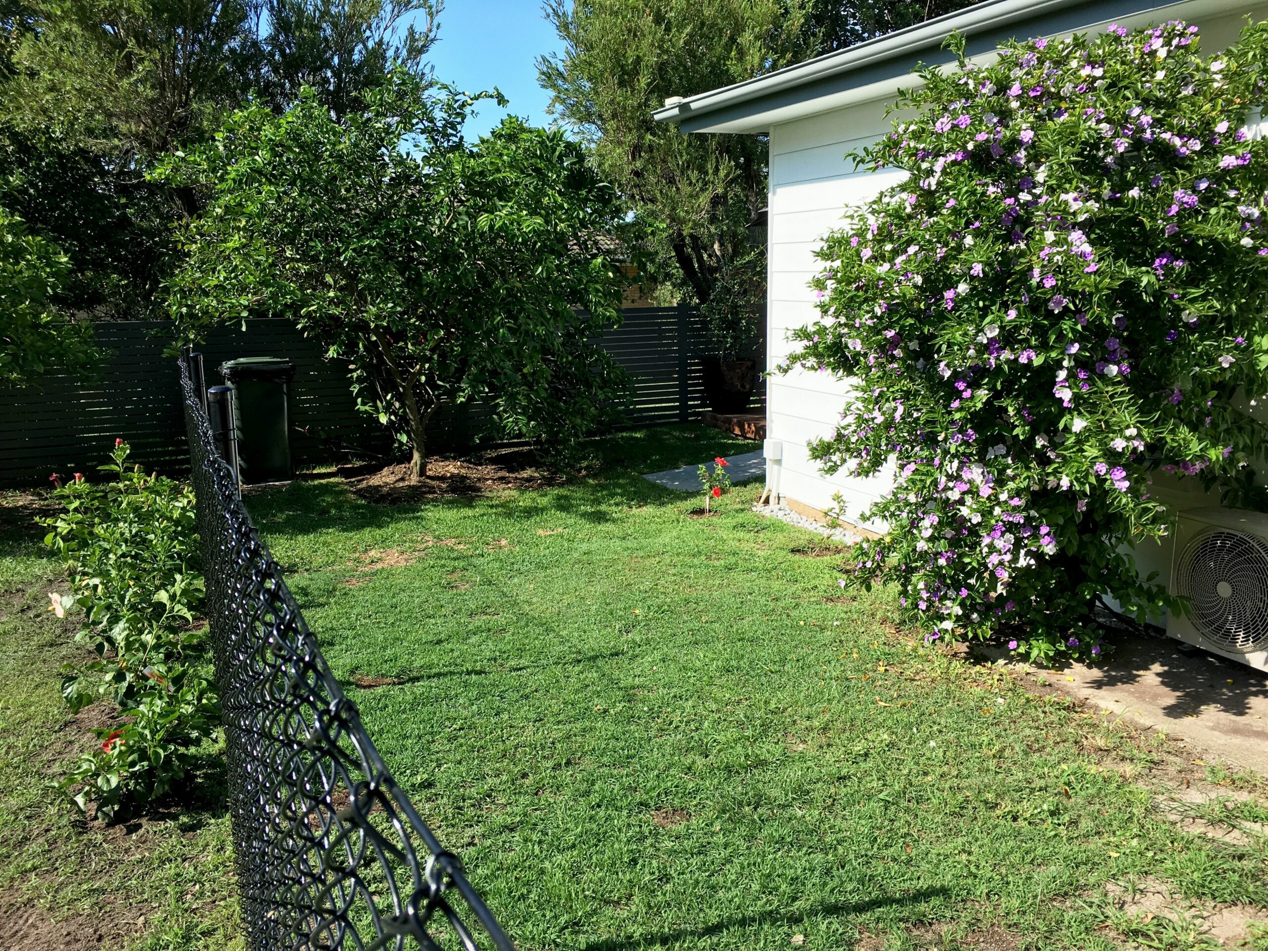 Salty Dog Cottage - Pet Friendly Dogs Welcome - 400 m to Kings Beach