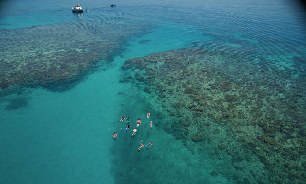 Great Barrier Reef Cruise to Upolu Cay and Outer Reef