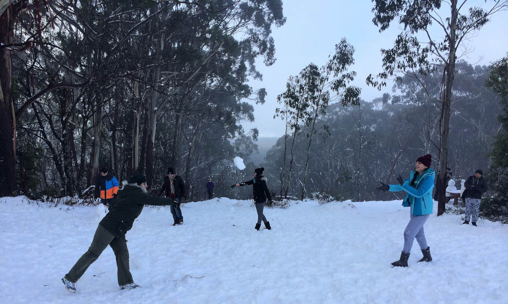 Mt Buller Snow Day Tour