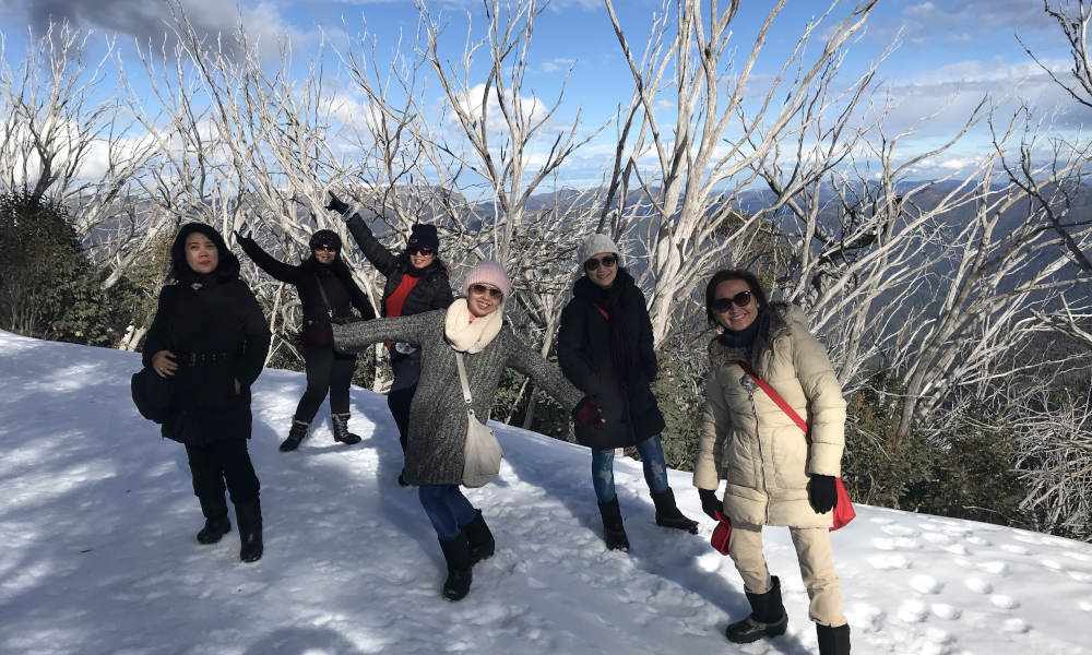 Mt Buller Snow Day Tour