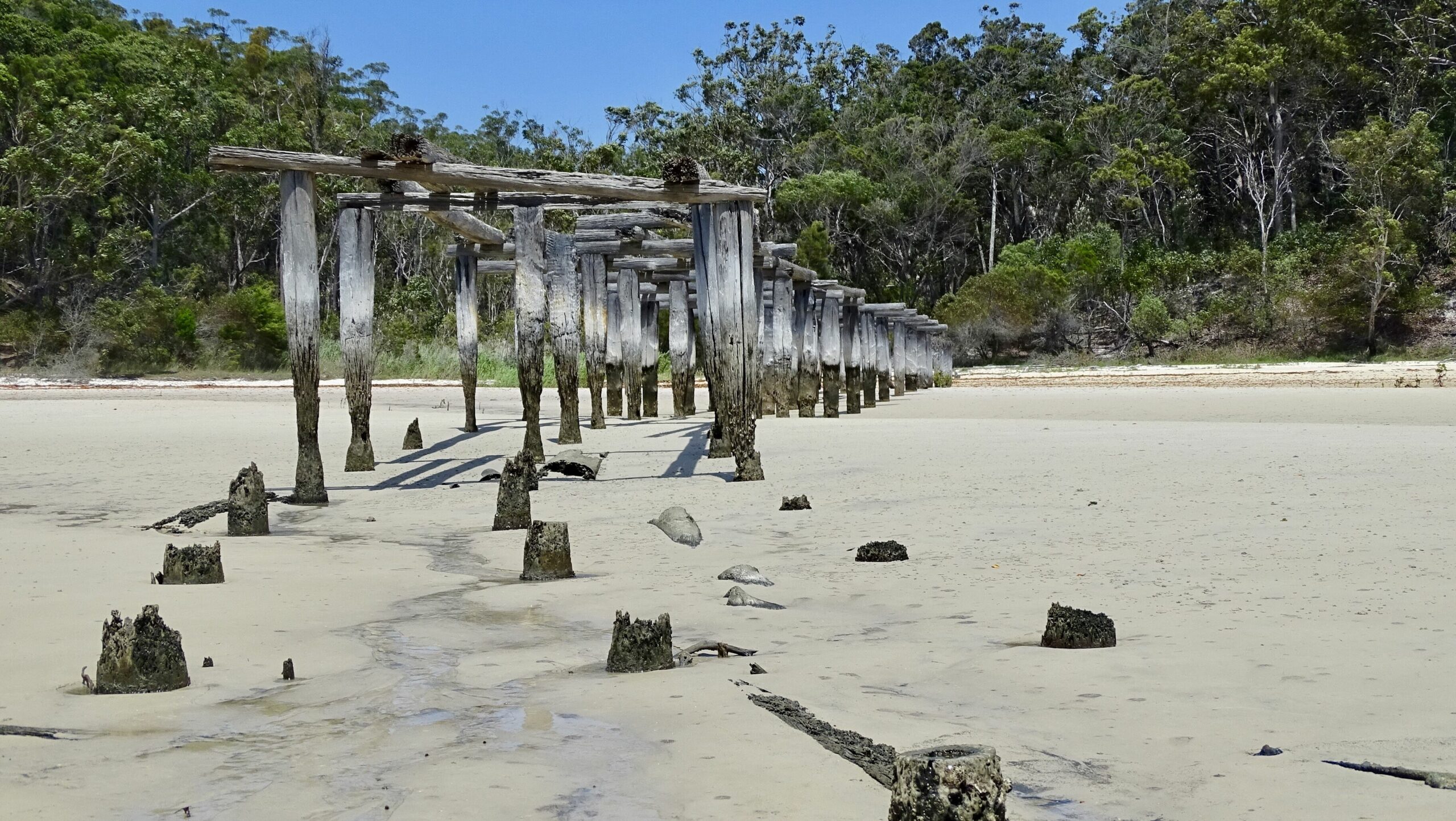 Kokomo at Kingfisher Bay "get There Fast Then Take it Slow!"