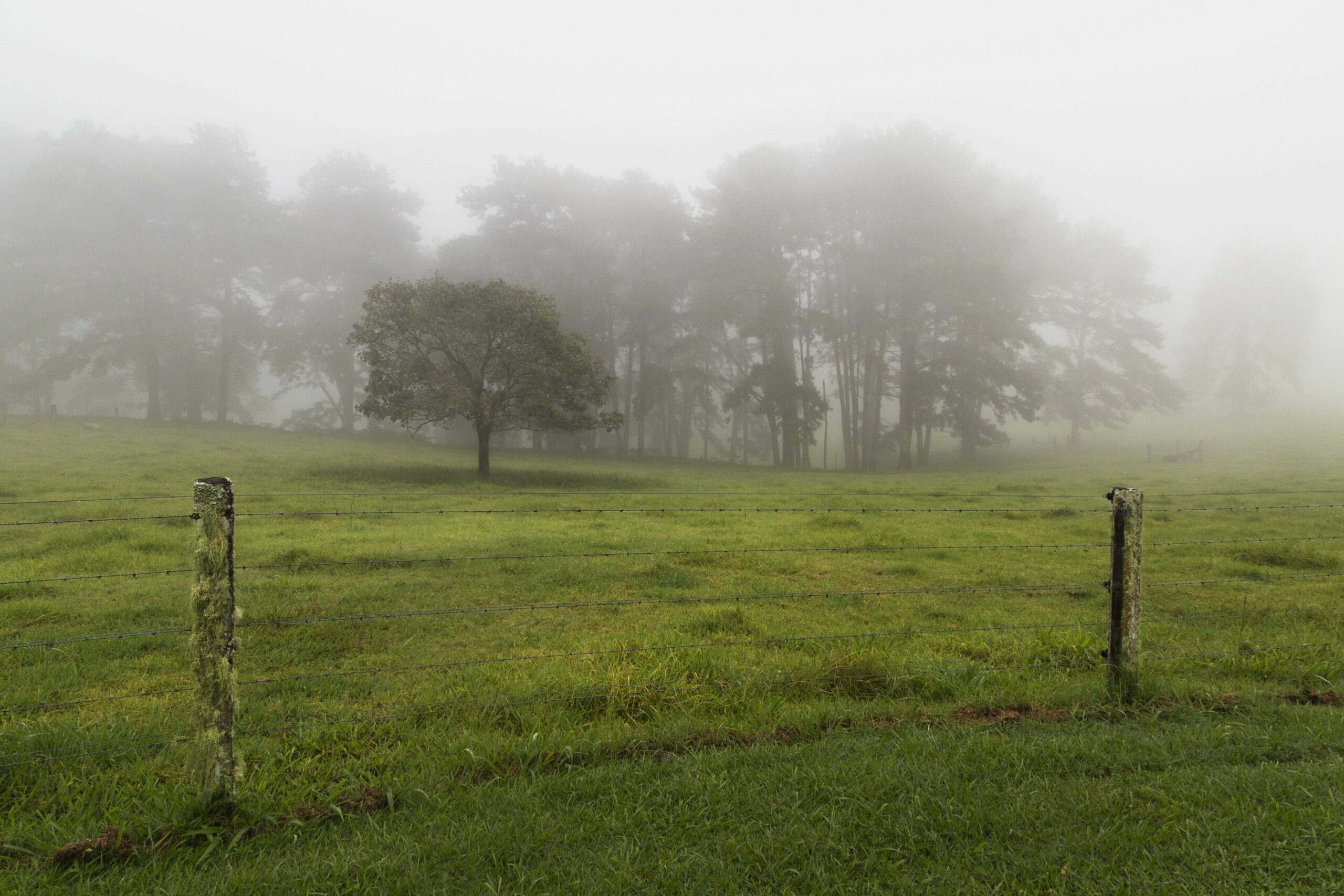 Where Hinterland birdsong welcomes you