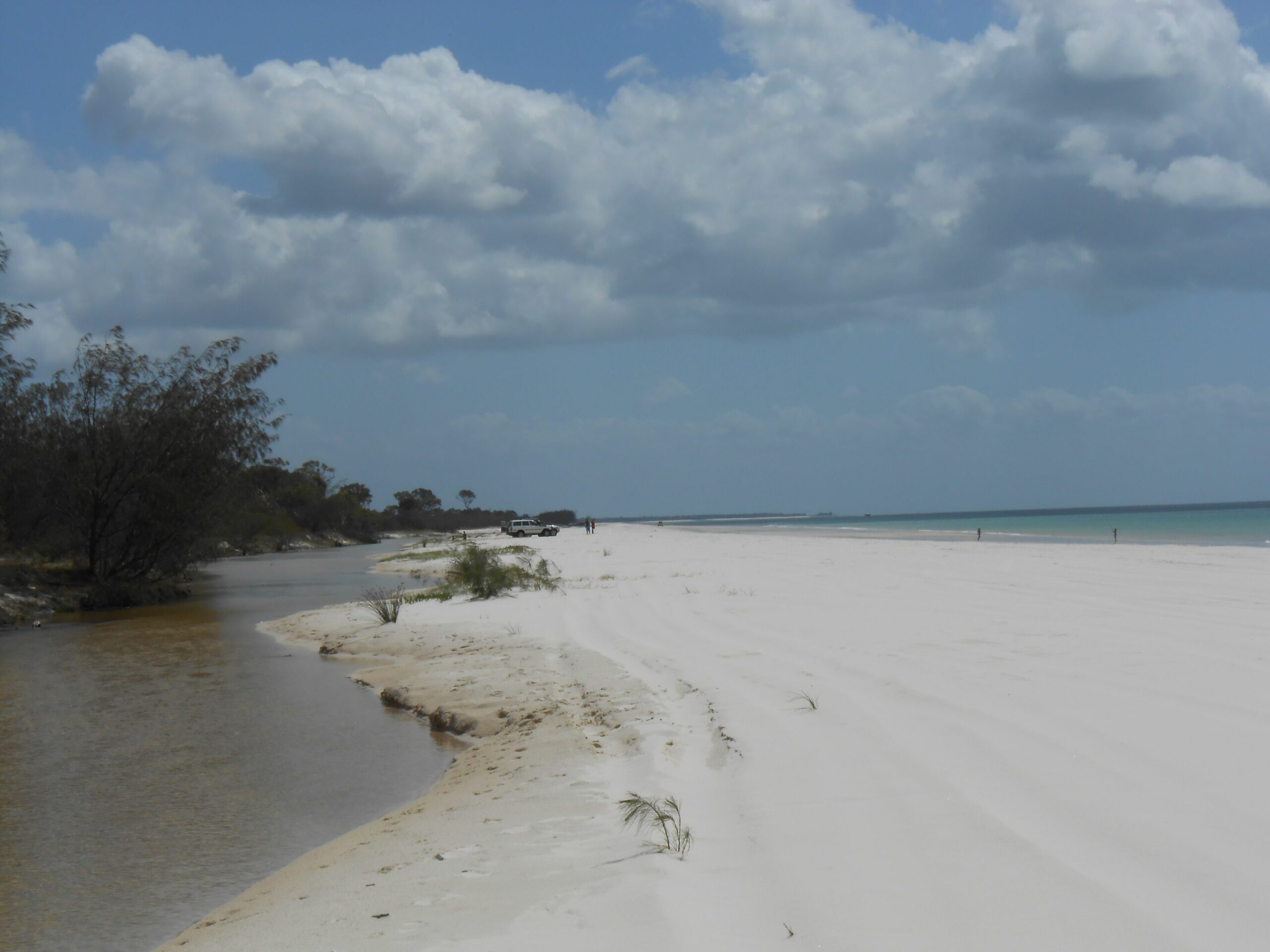 Hornblowers on Fraser Island. Eurong Second Valley close to Ocean Beach.