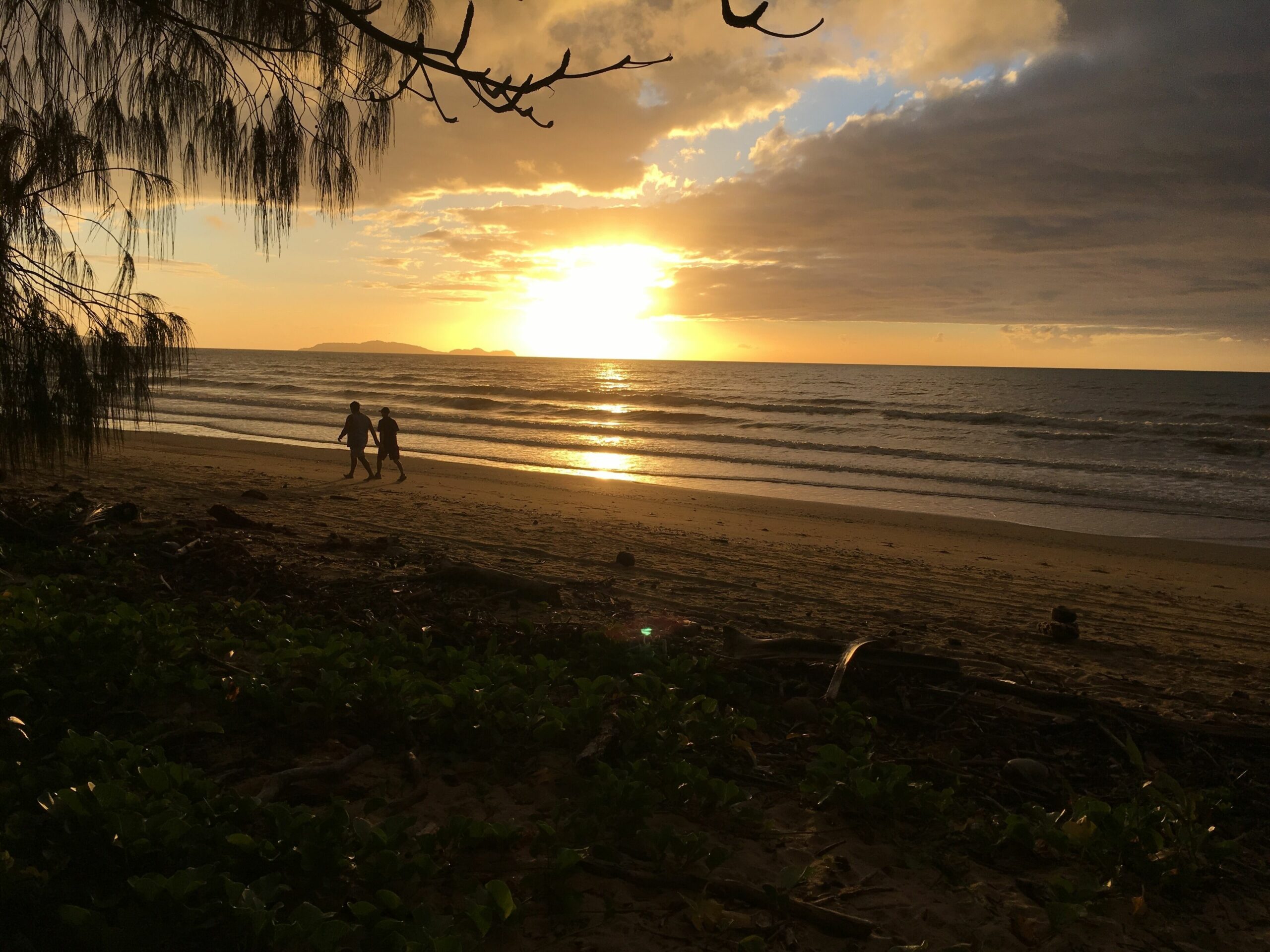 Daintree Beach Studio Apartment