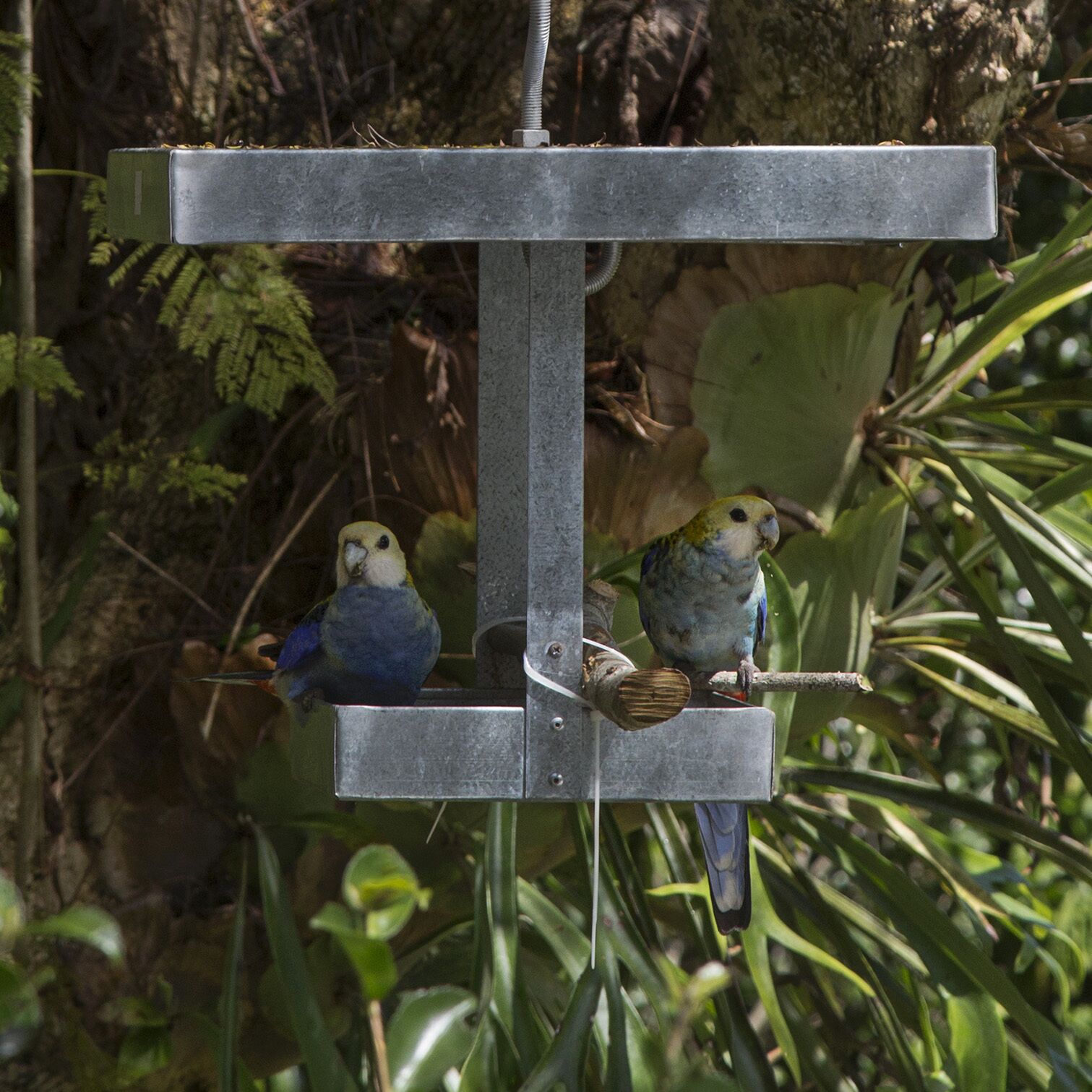 Where Hinterland birdsong welcomes you