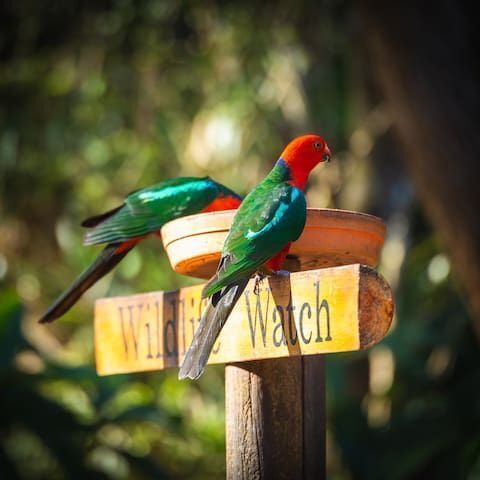 Cosy & Relaxing Country Getaway at Lorikeet Studio Apartment