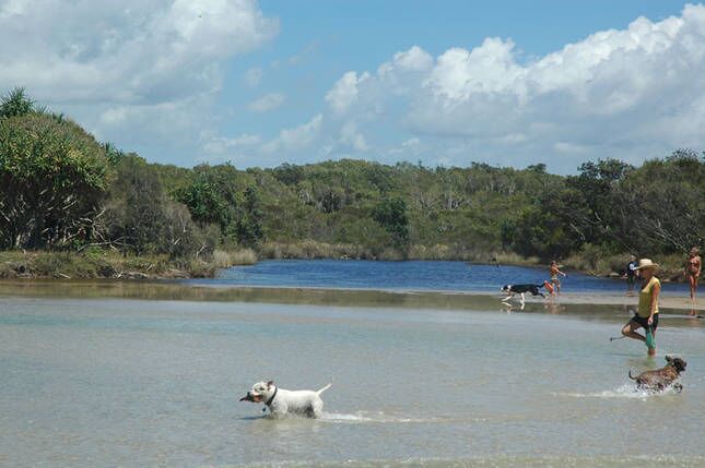 Palms at Coolum Beach, Wifi, Pool, Dog Friendly