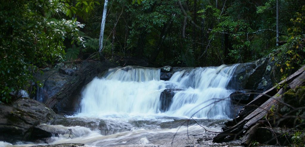 Bowerbird Cabin - Waterfalls, Rainforest, Wildlife, Walk Tracks and Birds