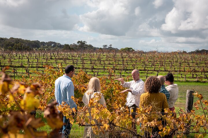 Full Day Wine & All About It Tour: Scones, Chocolate, Wineries, Lunch & More