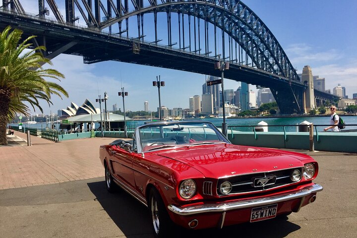7-Day Tour in Sydney with Airport Pickup