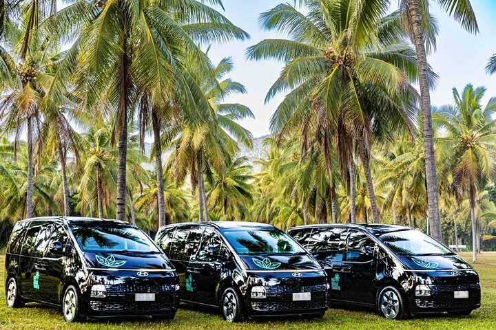 Private Transfer 4 to 6 People Cairns and Port Douglas (one way)