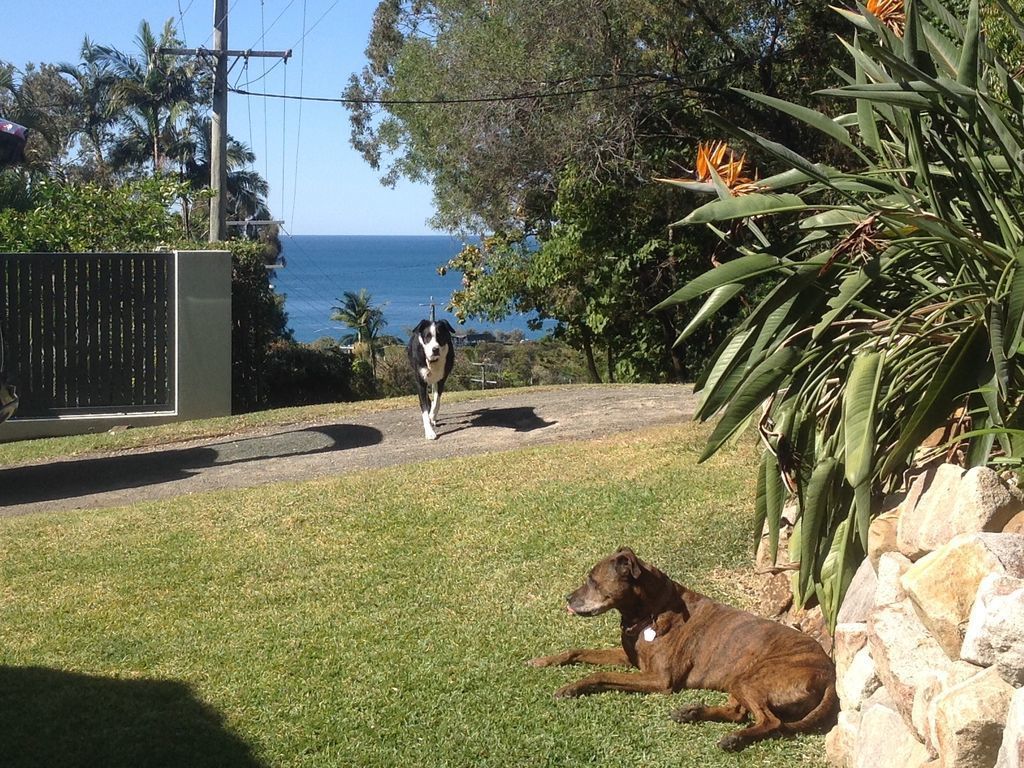 Billy's Beach Retreat-coolum Beach- Pet Friendly Home-linen Included-free Wi-fi