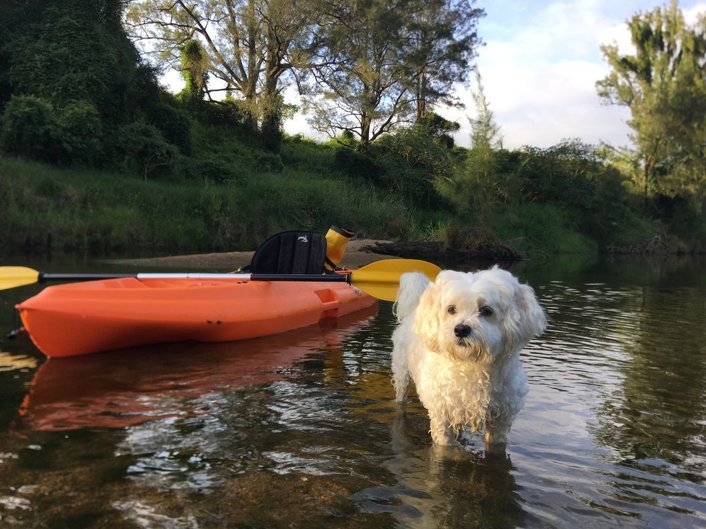 Kenilworth River Oaks on the Mary River - Pet Friendly