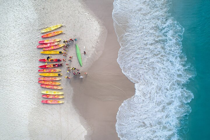Skydive over Sunshine Coast with Beach Landing