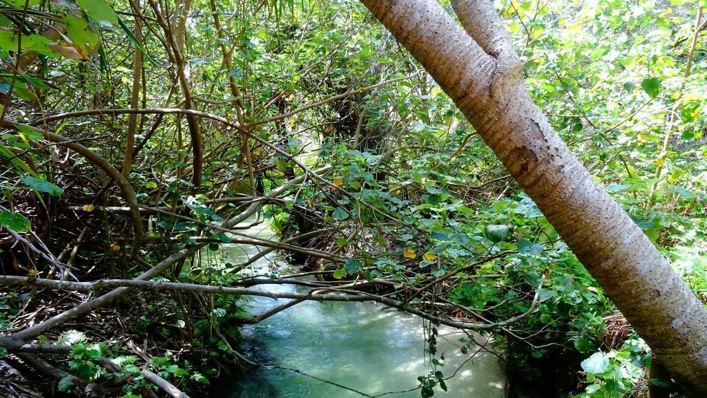 Apurla Island Retreat - Fraser Island