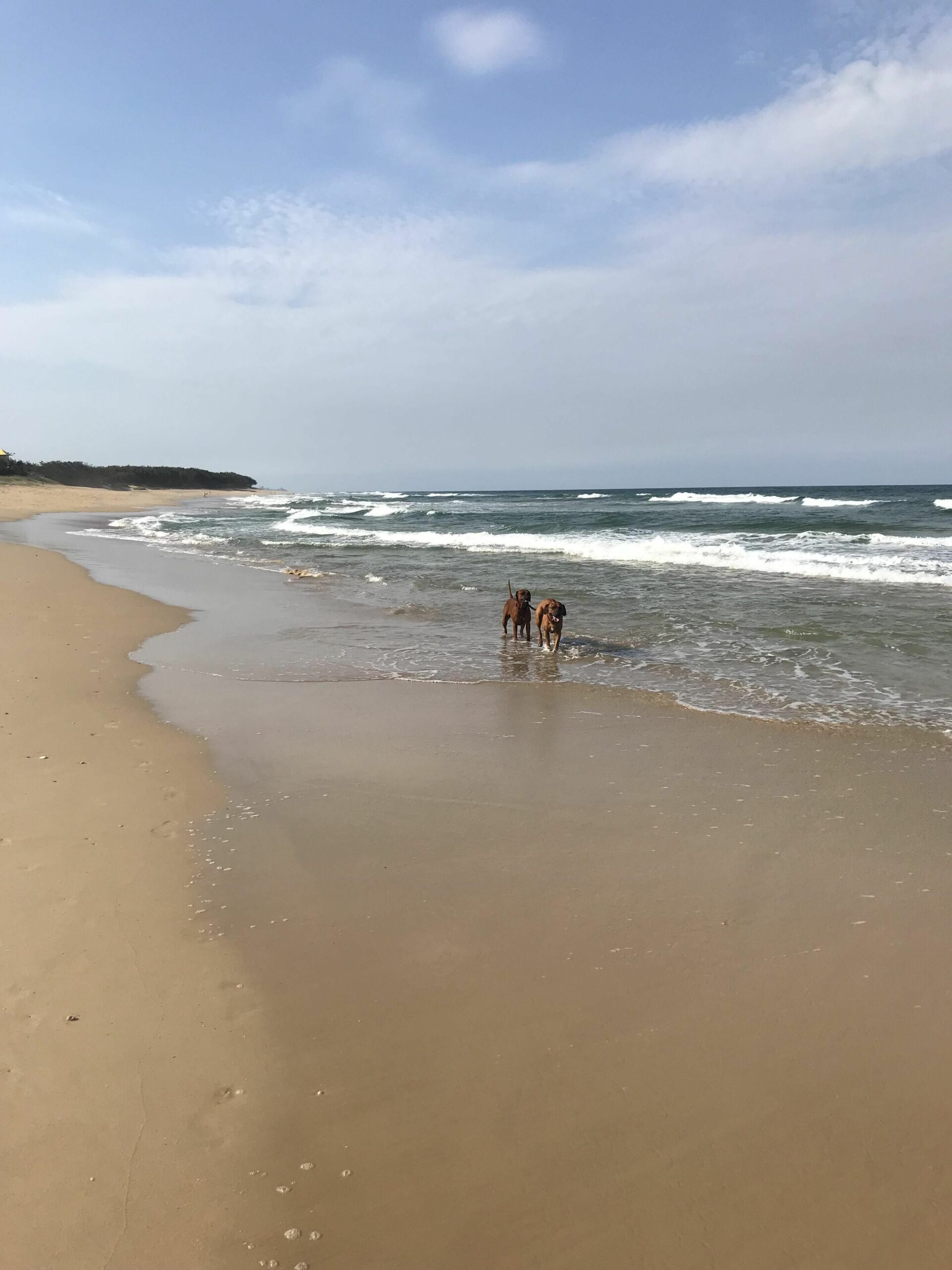 Currimundi Bare Foot Beach House