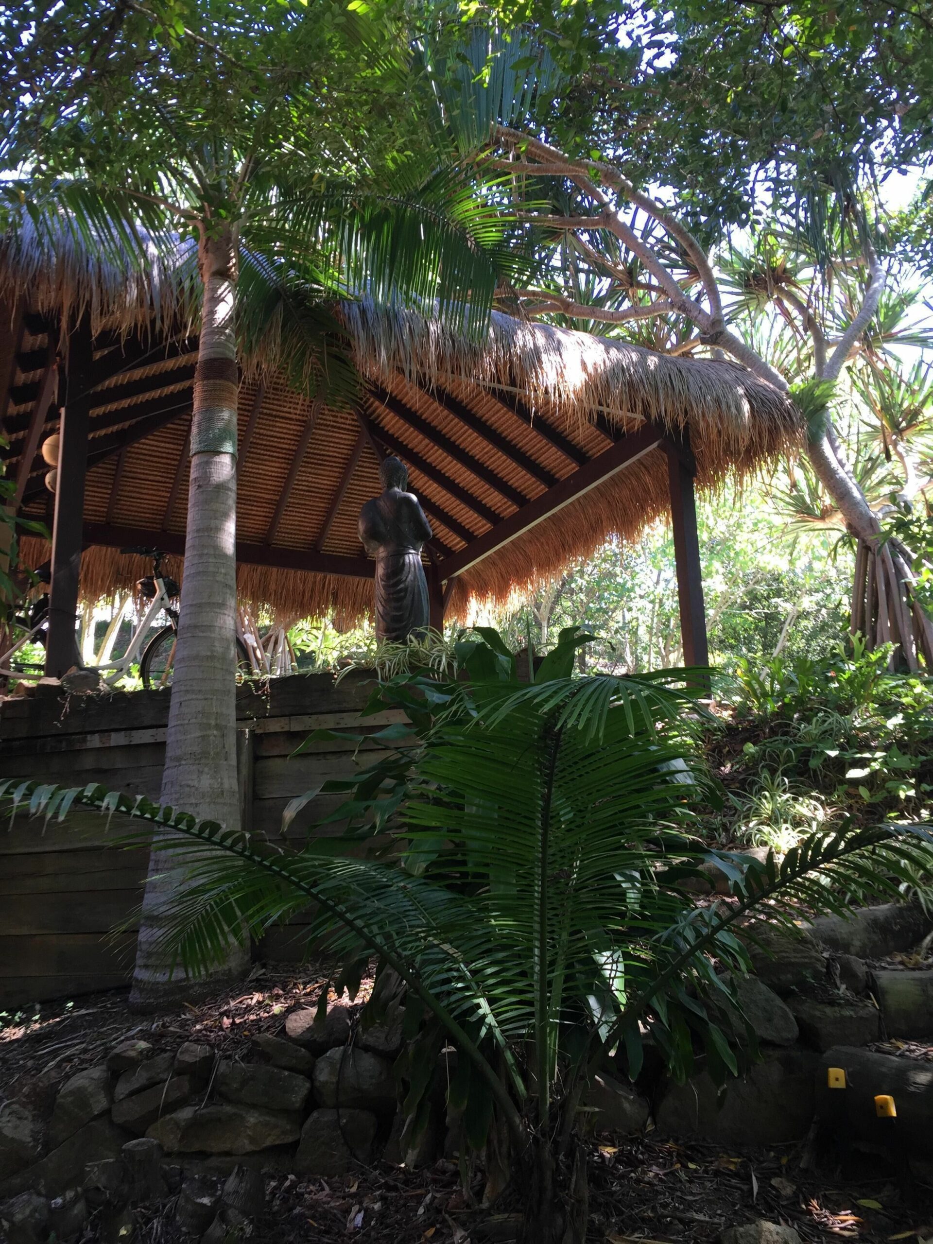 'the Tree House', Rain Forest Living Only 200m Walk From World Class Beaches