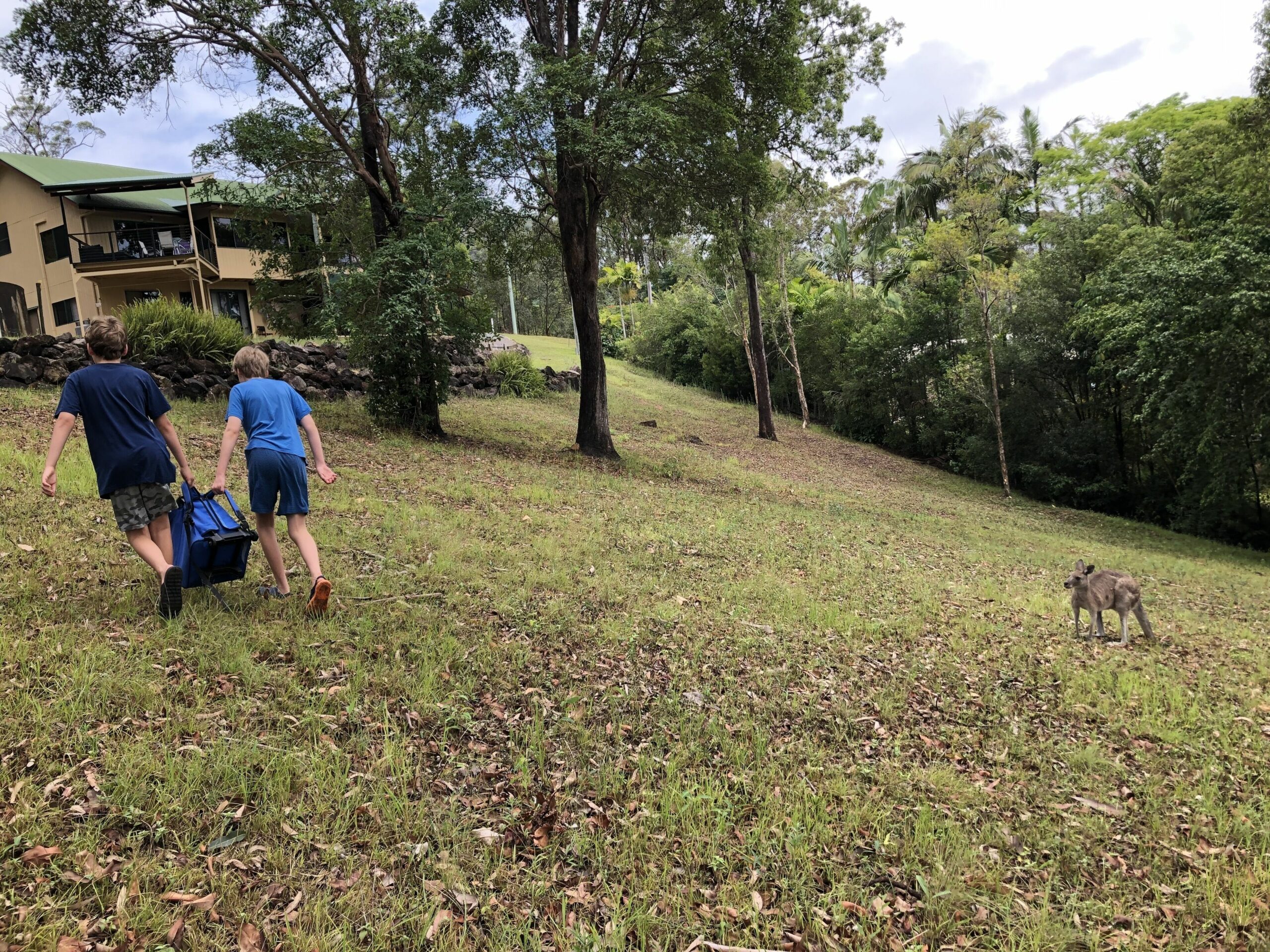 Noosa Hinterland acreage close to Coolum beach