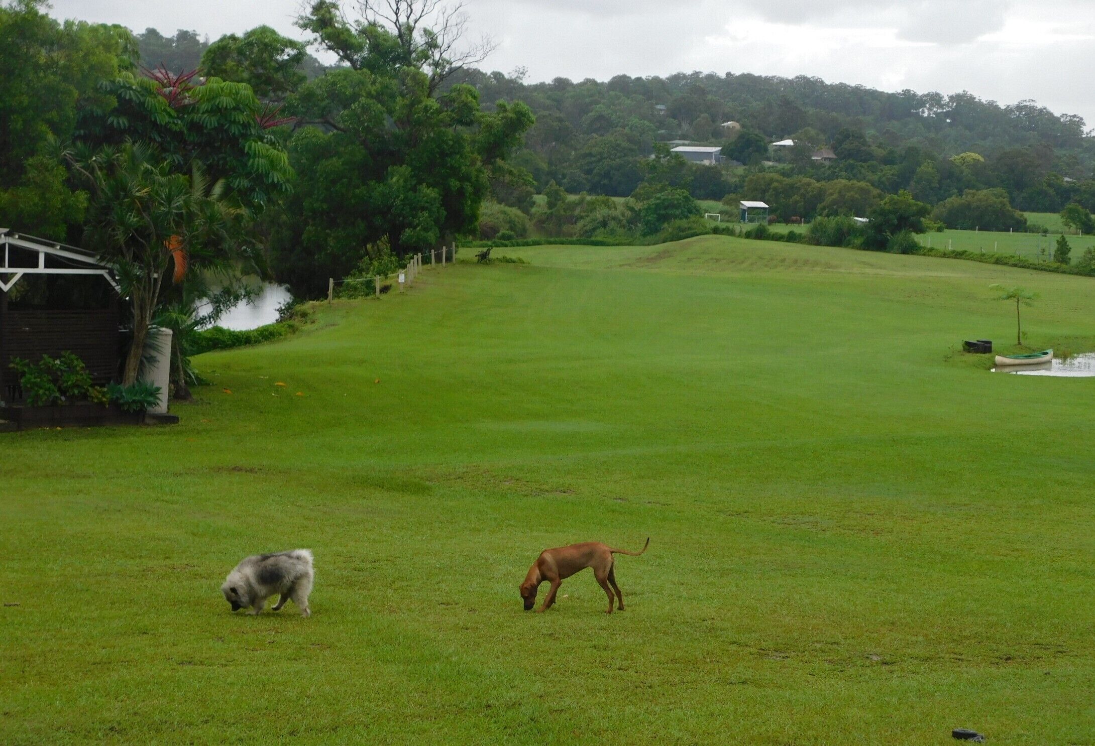 Bonfires, BYO kayak or Tinny, Fishing on-site & Dogs run free!