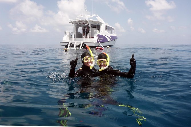 Skedaddle Express Outer Great Barrier Reef Tour from Cairns