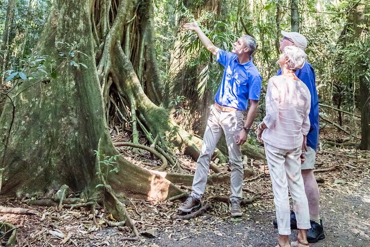 Daintree Discovery Centre Family Pass Ticket
