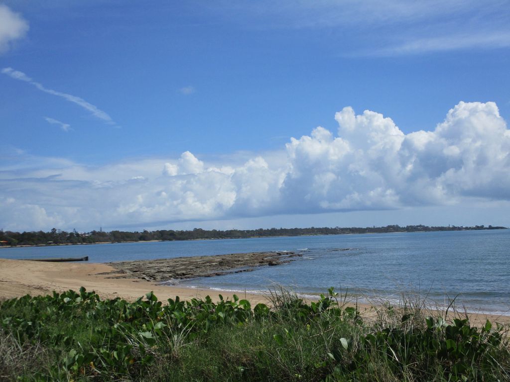 Sea Wood Delight in Hervey Bay