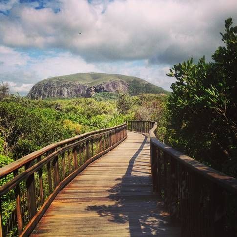 Zeby's Beach Break - Located at Mount Coolum