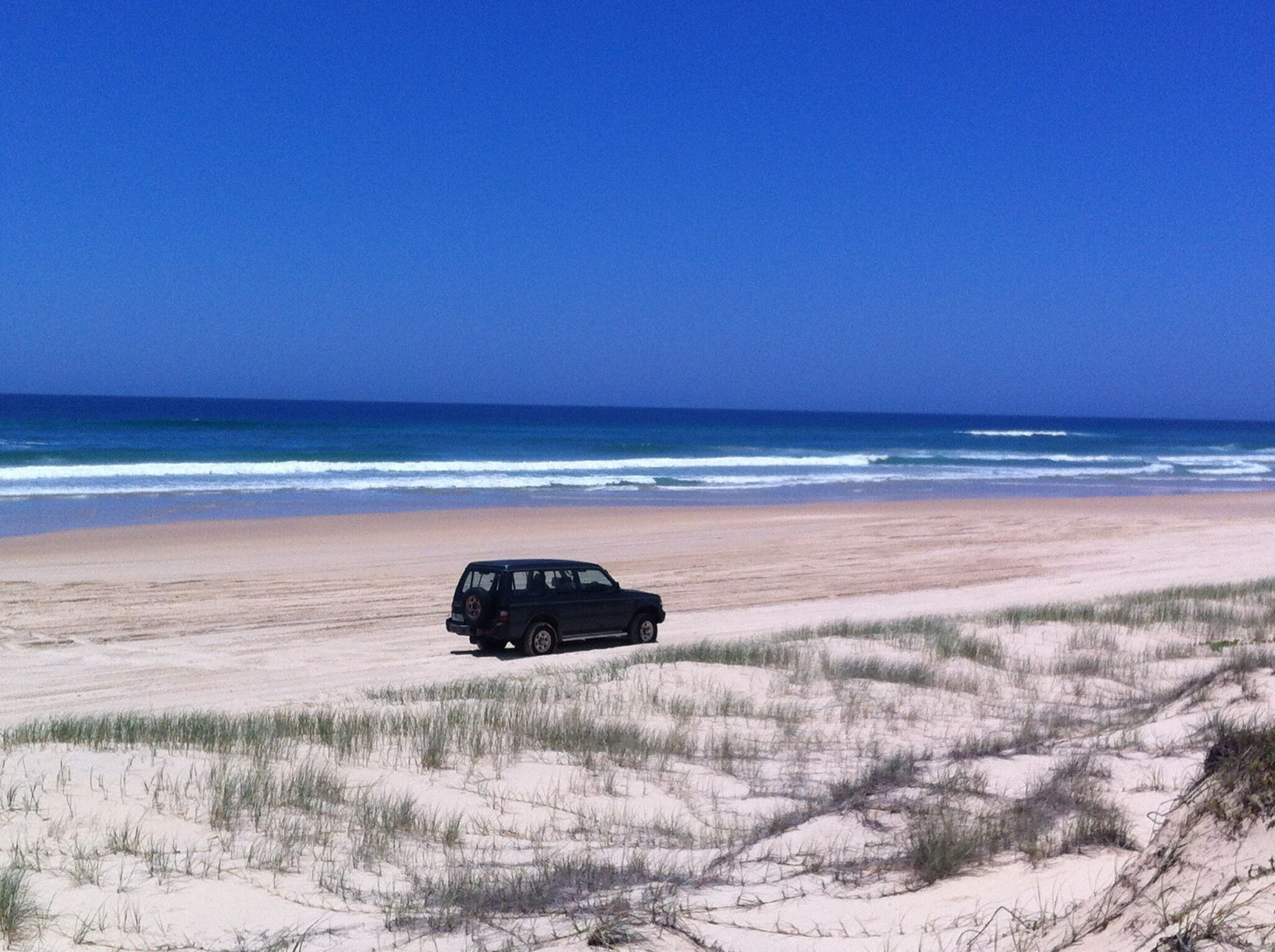 Hornblowers on Fraser Island. Eurong Second Valley close to Ocean Beach.