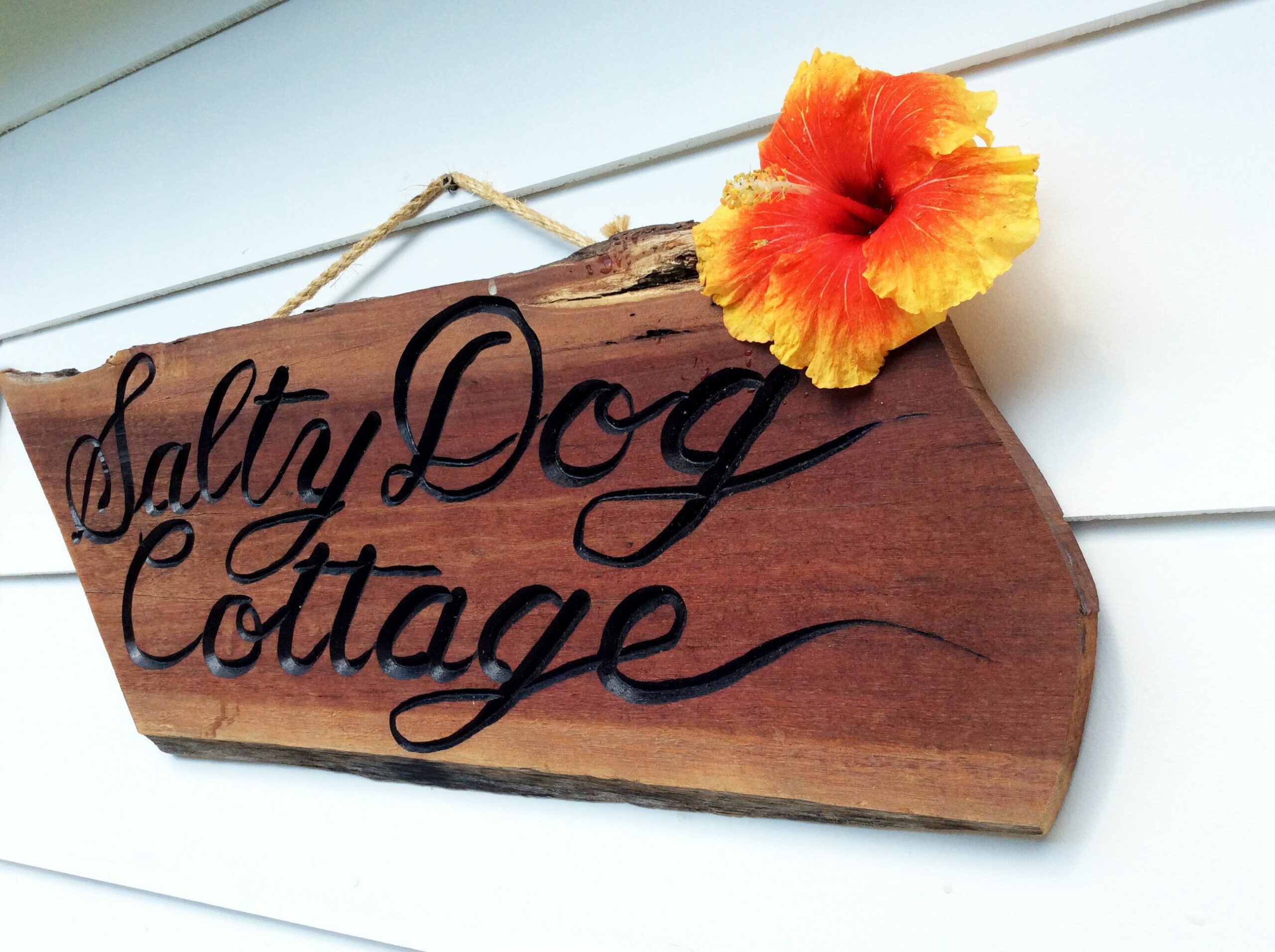 Salty Dog Cottage - Pet Friendly Dogs Welcome - 400 m to Kings Beach