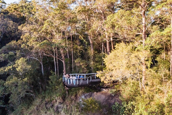 Scenic Hinterland Guided Day Tour Inc Lunch, Tastings From Noosa