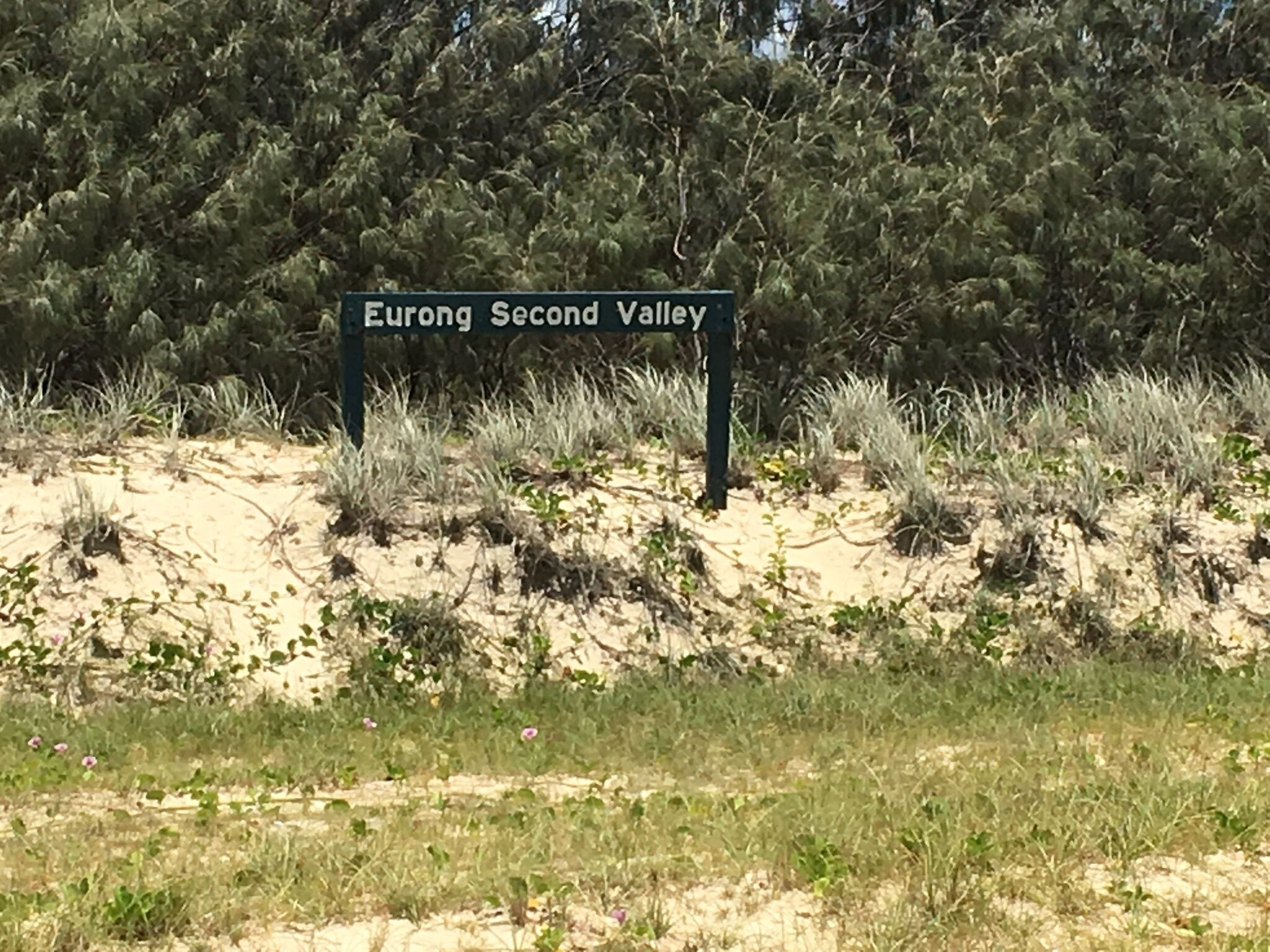 Hornblowers on Fraser Island. Eurong Second Valley close to Ocean Beach.