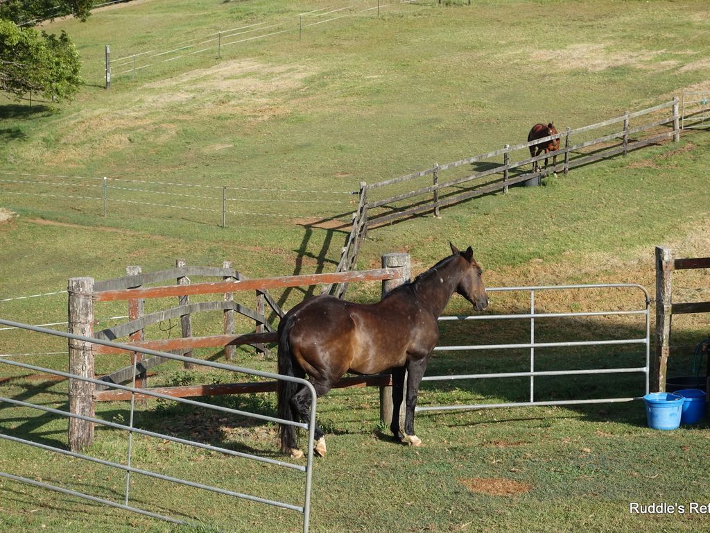 Ruddle's Retreat - Family and pet Friendly Holiday Home