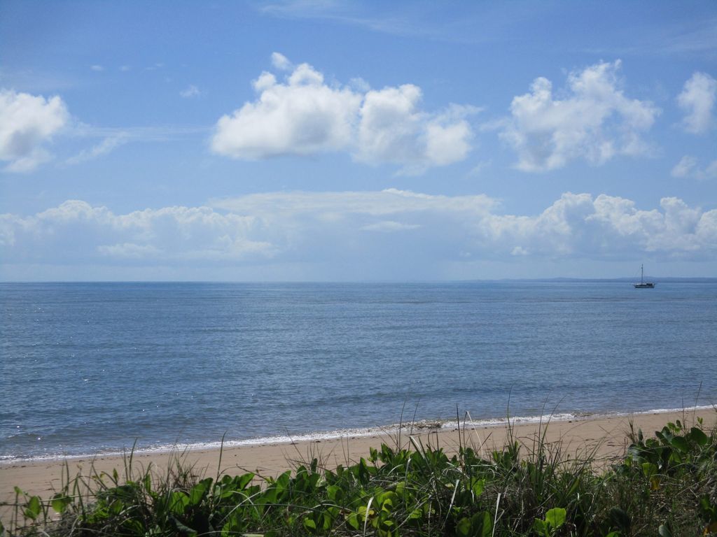 Sea Wood Delight in Hervey Bay