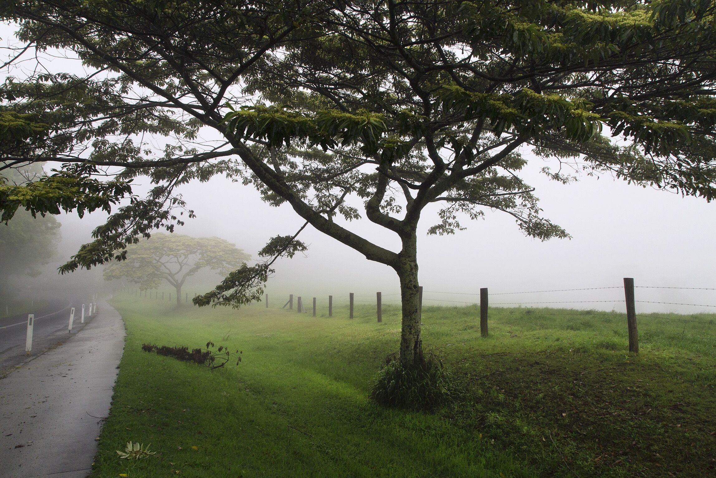 Where Hinterland birdsong welcomes you