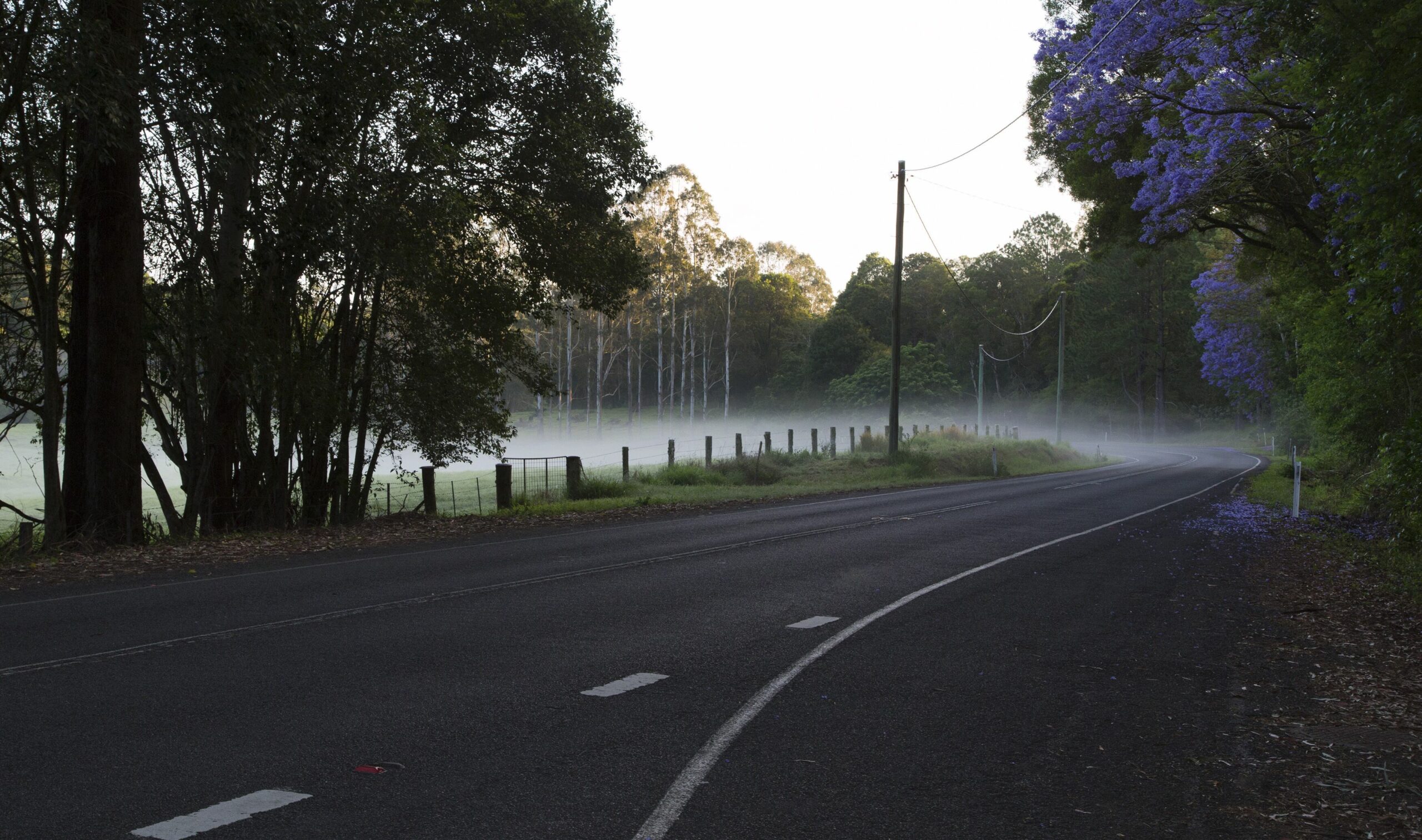 Where Hinterland birdsong welcomes you