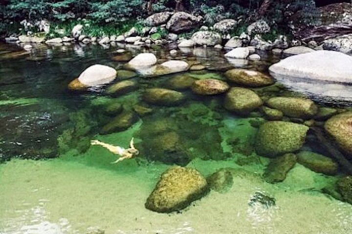 SHUTTLE - MOSSMAN GORGE from Port Douglas (Return Transfer)