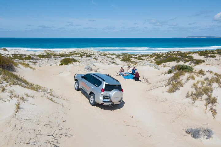 Private Transfer from Brisbane Airport to Noosa for 1 to 7 people