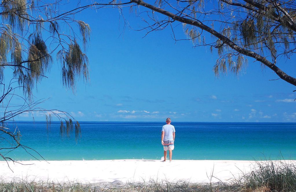 Sea Breeze & Water Views Among the Palm Tree Canopy -apt 4