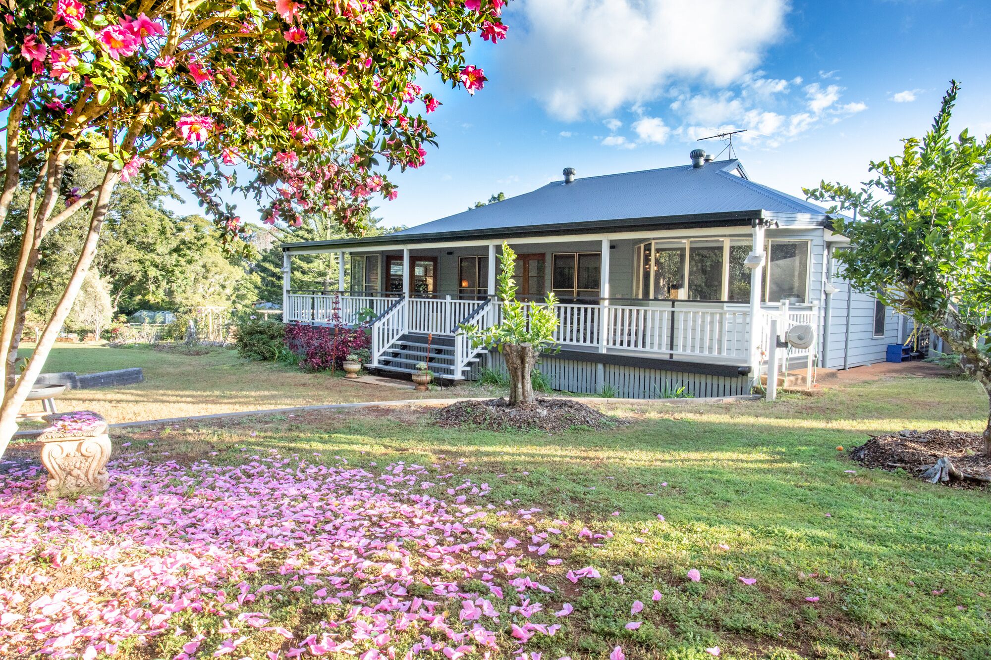 Bare Foot Luxury, Minutes From Maleny Town Centre