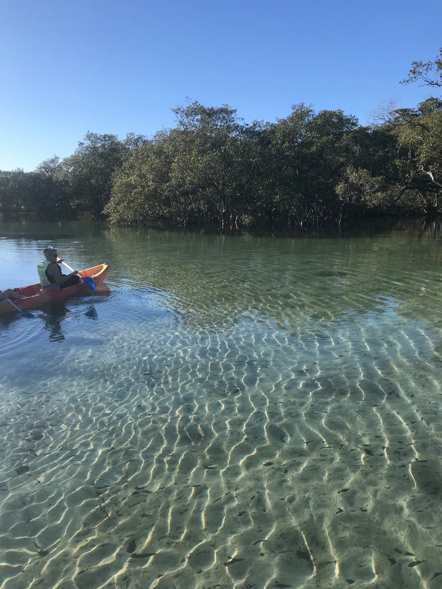 Double Kayak Rental in Brunswick River
