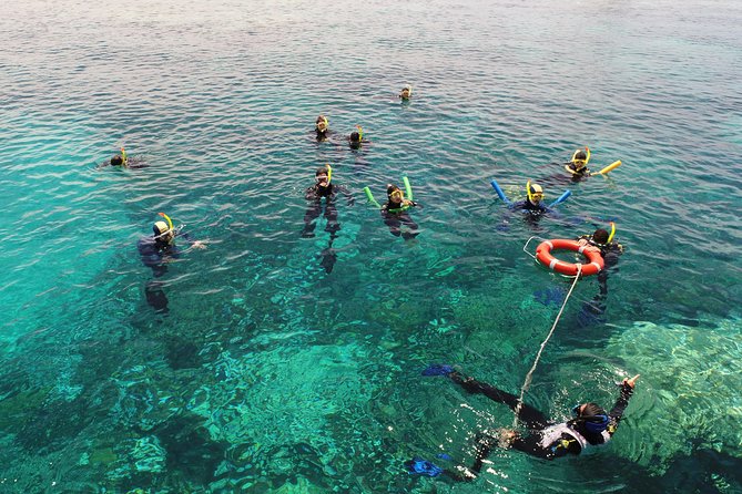 Skedaddle Express Outer Great Barrier Reef Tour from Cairns