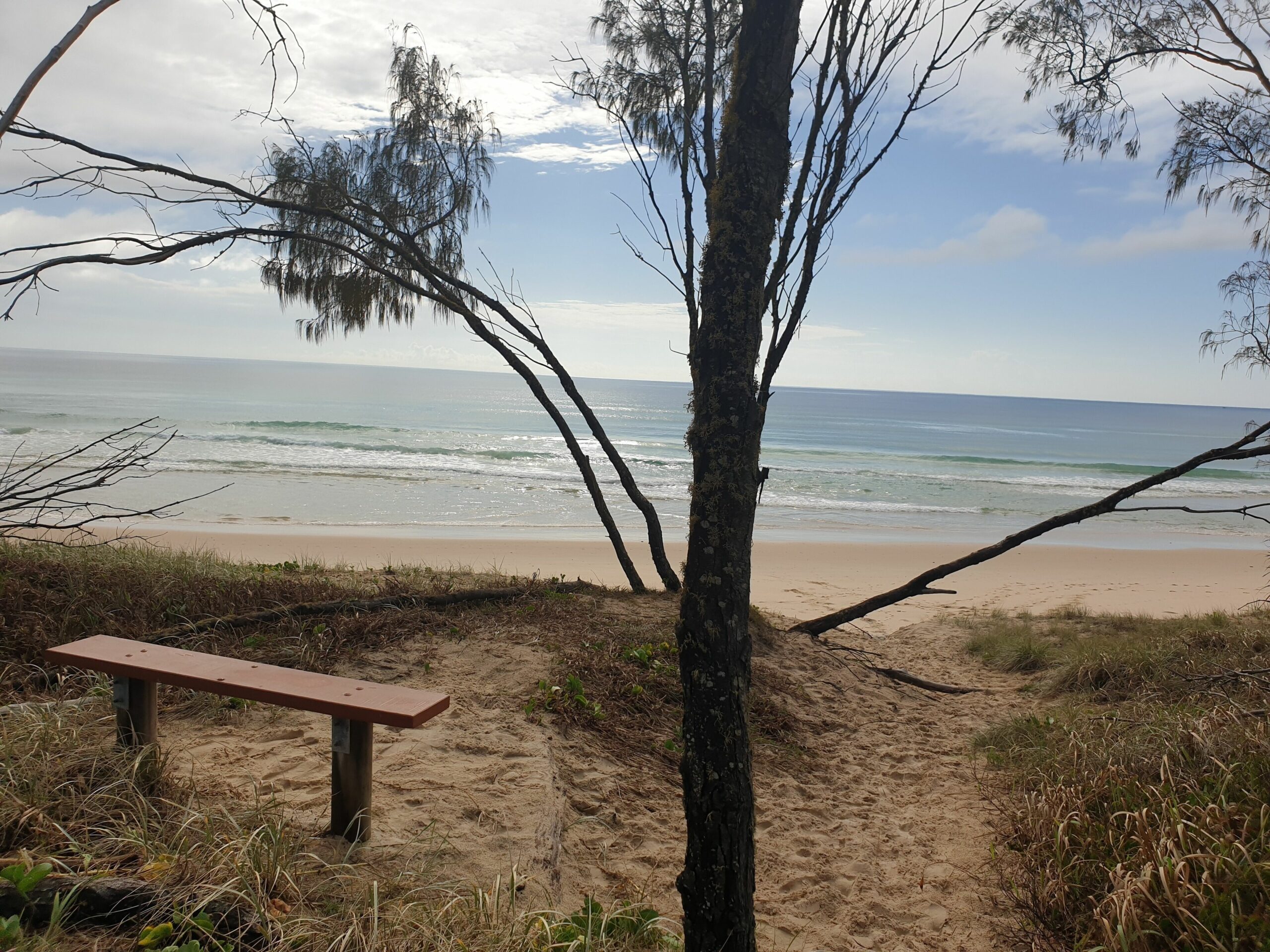 Treetops Studio Apartment, Rainbow Beach Resort