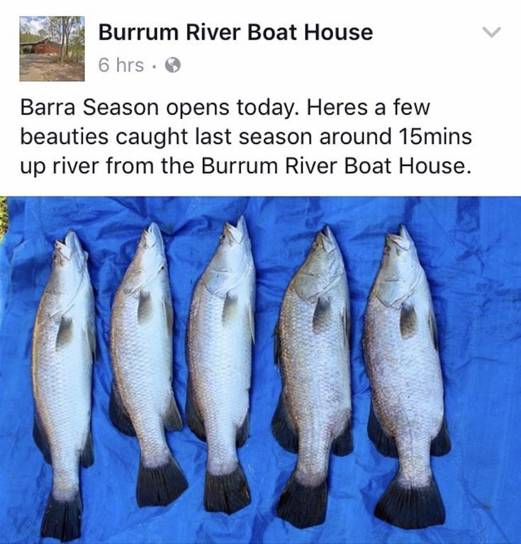 Burrum River Boat House - Pacific Haven- Riverfront - 2BR