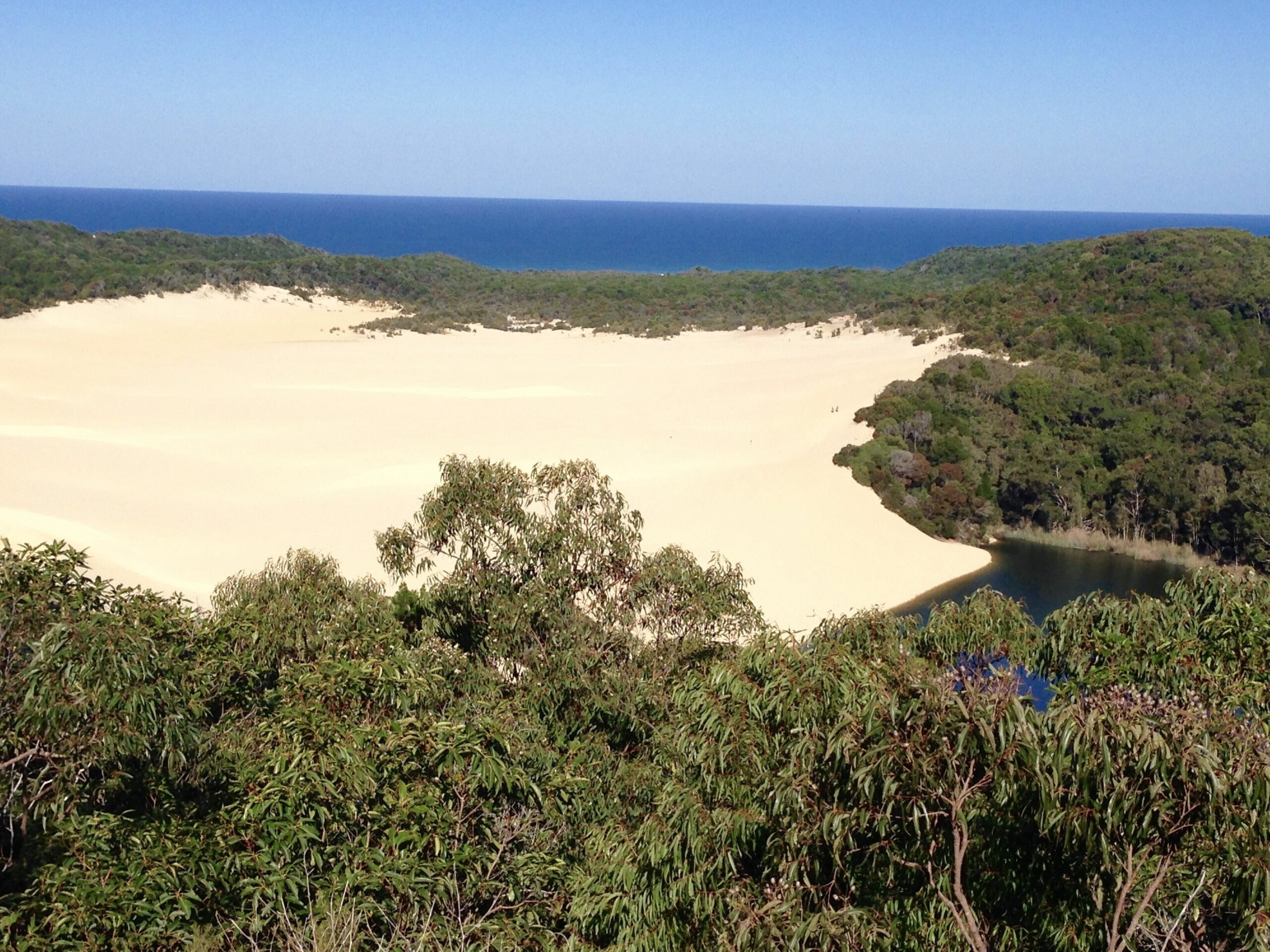 Kokomo at Kingfisher Bay "get There Fast Then Take it Slow!"