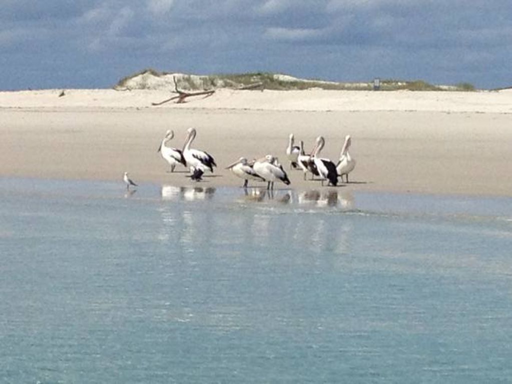 Bay Dream - Hervey Bay