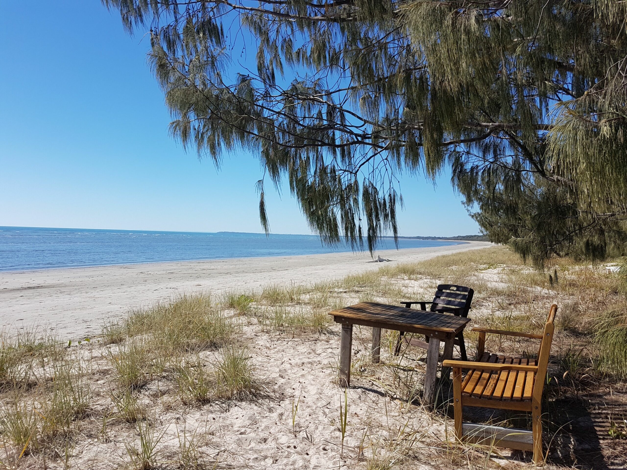 Beachfront pet and Wheelchair Friendly House