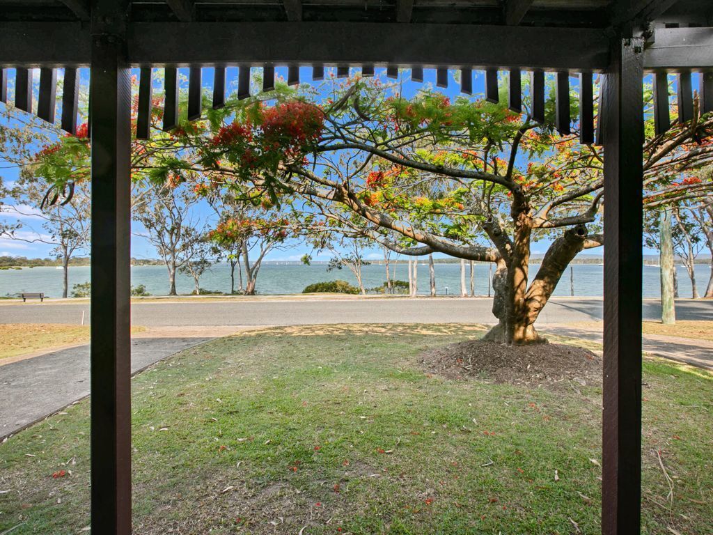 Tide Watcher at Tin Can Bay