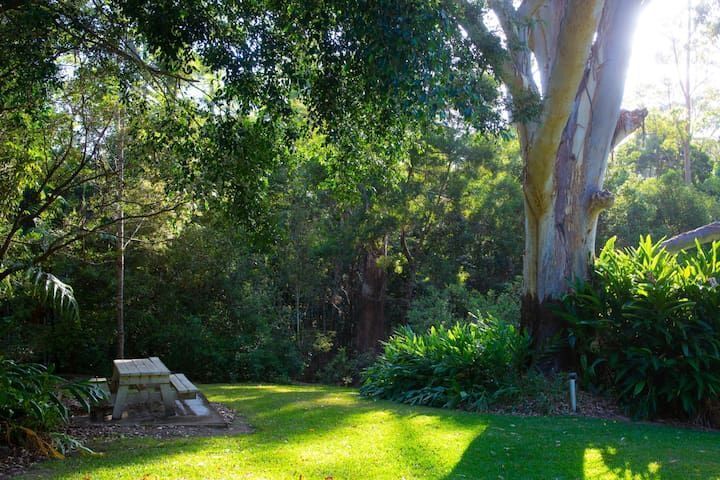 King Parrot Apartment set Amid the Beautiful & Peaceful Rainforest With Garden v