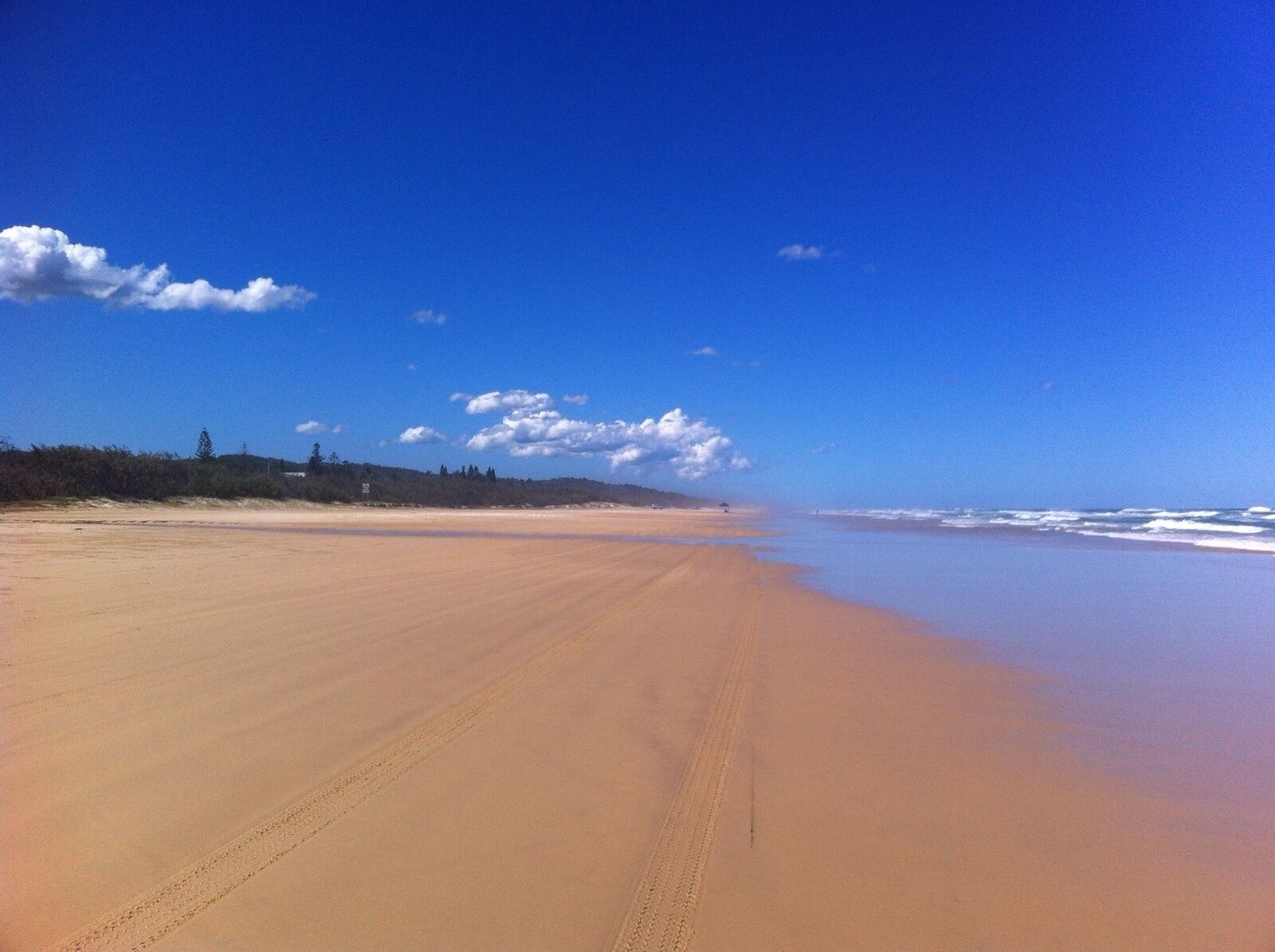 Hornblowers on Fraser Island. Eurong Second Valley close to Ocean Beach.