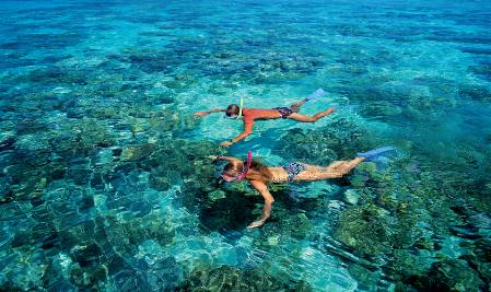 A Tropical Adventure - Reef n Beyond Guided Holidays